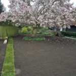 IMG-20241031-WA0674